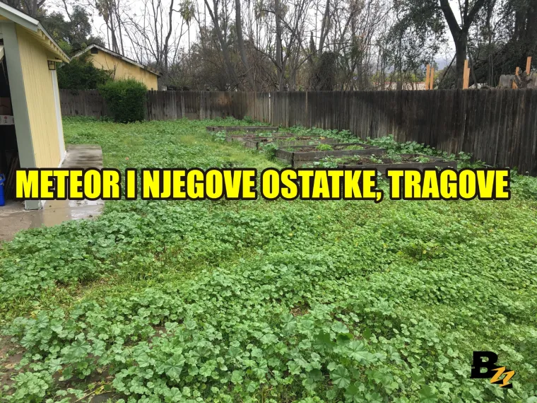 Marihuana, kosti mamuta, zlatnici: Pogledajte 15 čuda koja su ljudi našli u svom dvorištu