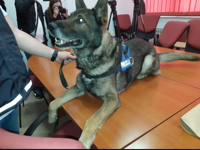 Velika policijska akcija u Vukovaru: As na&scaron;ao drogu skrivenu u bačvi