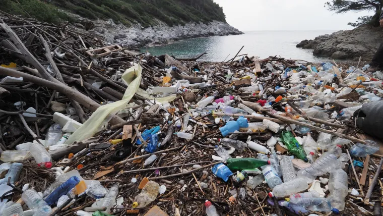 Eko aktivisti čistili plažu na Mljetu: Žalosno je kako ljudi uništavaju prirodu