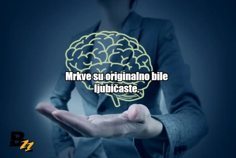20 činjenica koje će vam totalno slomiti poimanje svijeta oko vas
