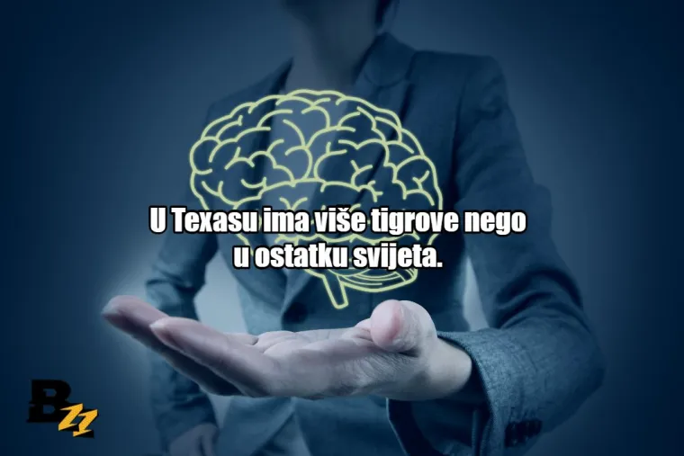 20 činjenica koje će vam totalno slomiti poimanje svijeta oko vas