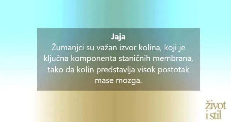 Hrana za mozak: Namirnice koje pomažu djeci da razviju inteligenciju