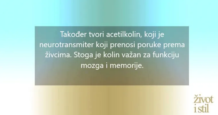Hrana za mozak: Namirnice koje pomažu djeci da razviju inteligenciju