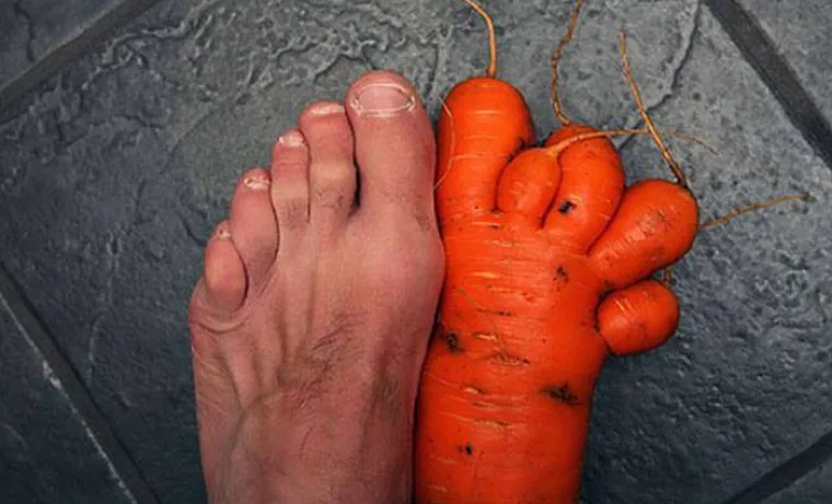 Majka Priroda ima urnebesni smisao za humor, &scaron;to dokazuje ovih 35 fotki voća i povrća