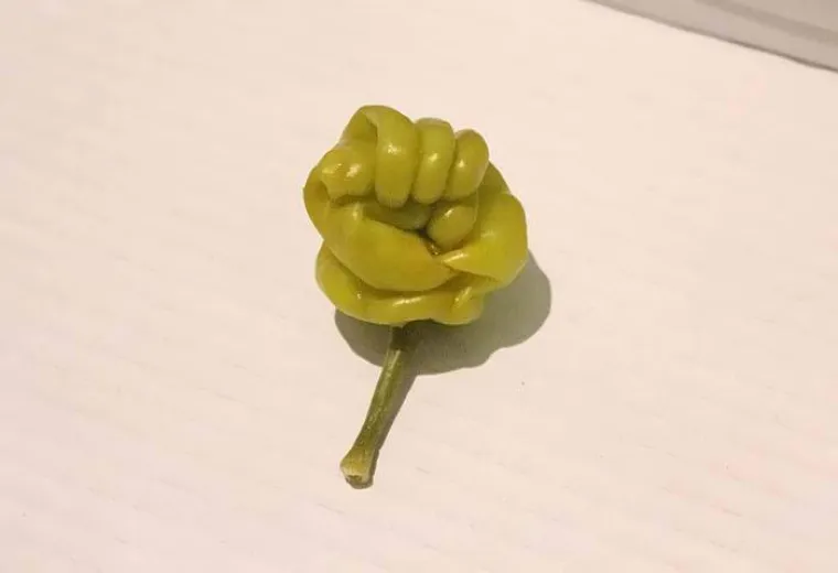 Majka Priroda ima urnebesni smisao za humor, &scaron;to dokazuje ovih 35 fotki voća i povrća