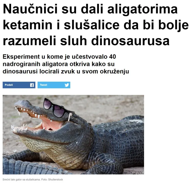 Pogledajte ovaj popis najbizarnijih članaka srpskog Vicea koje apsolutno nitko nije tražio