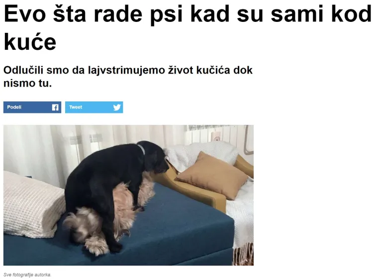 Pogledajte ovaj popis najbizarnijih članaka srpskog Vicea koje apsolutno nitko nije tražio