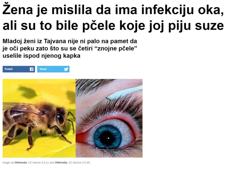 Pogledajte ovaj popis najbizarnijih članaka srpskog Vicea koje apsolutno nitko nije tražio