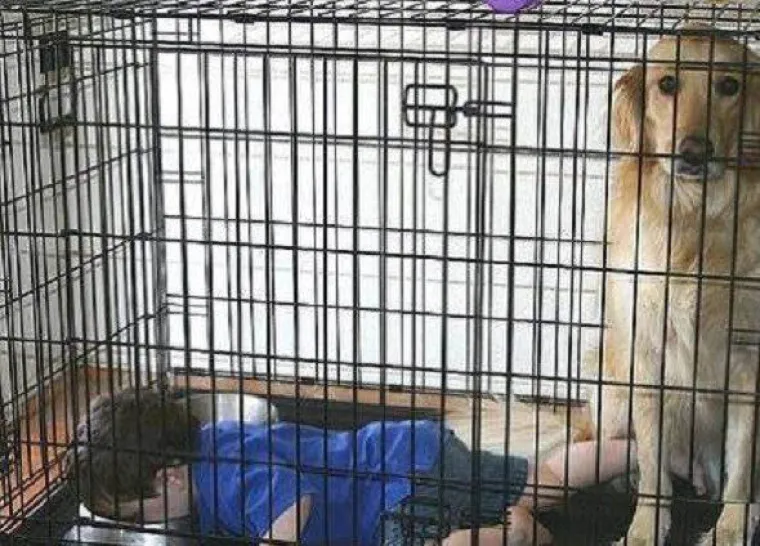 20 urnebesnih, ali i uznemirujućih poteza roditelja koji će sve napraviti za dobru fotku