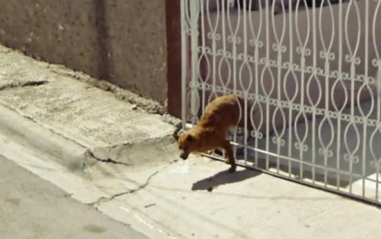 Od seksa, do golotinje i vanzemaljaca: 25 najbizarnijih fotografija s Google street viewa
