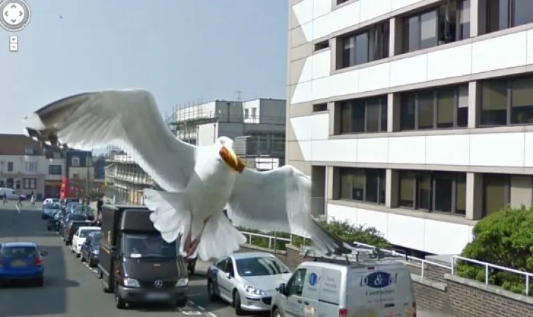 Od seksa, do golotinje i vanzemaljaca: 25 najbizarnijih fotografija s Google street viewa