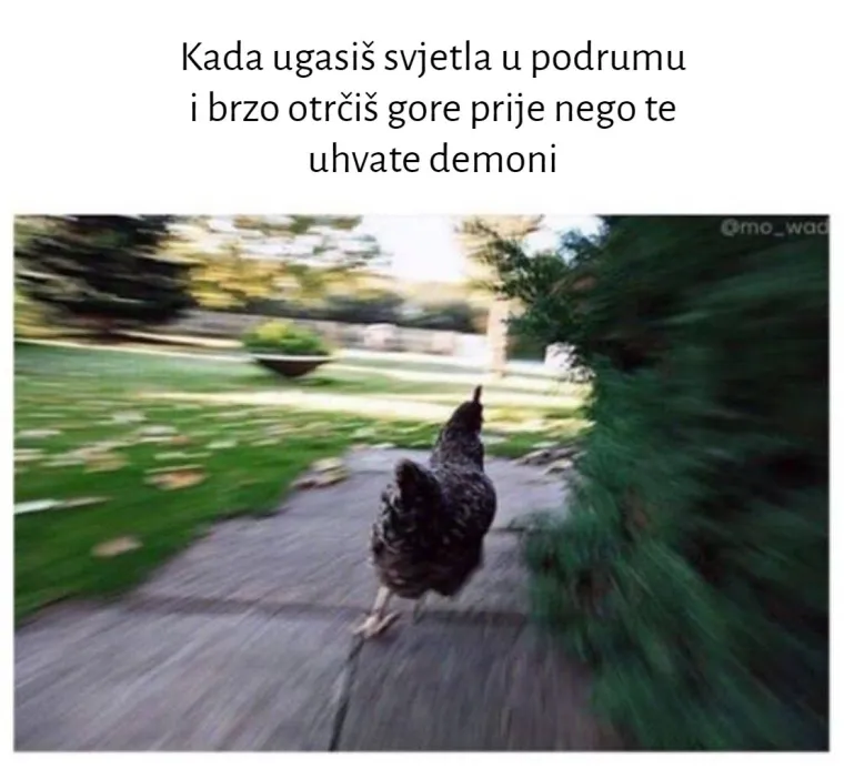 Meme koje će vas natjerati da kažete "Zašto ste napravili ovu galeriju o meni?"