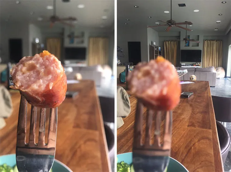 NE MOŽETE IM REĆI 'NE': Neki psi su vje&scaron;tinu žicanja klope doveli do savr&scaron;enstva, ovi su oti&scaron;li jo&scaron; korak dalje