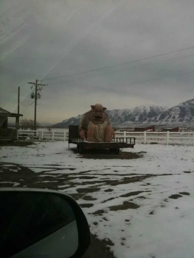 INTERNET JE MJESTO GDJE BIZARNOSTIMA NEMA KRAJA: Ba&scaron; takve su i ove fotografije - &scaron;to nije u redu s ovim ljudima?
