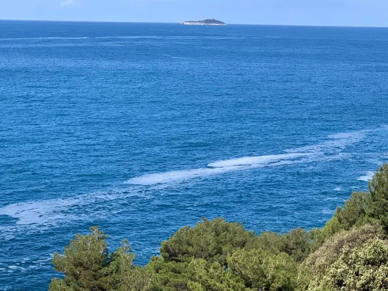 Kakve su to sluzave nakupine u moru kod Dubrovnika? Nisu uobičajeno bijele nego blago smeđe boje