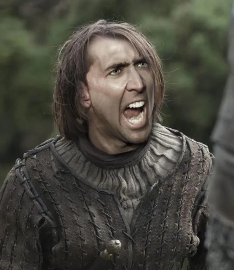 Urnebesne fotke koje dokazuju da bi Nicholas Cage mogao biti svaki lik 'Game of Thronesa'