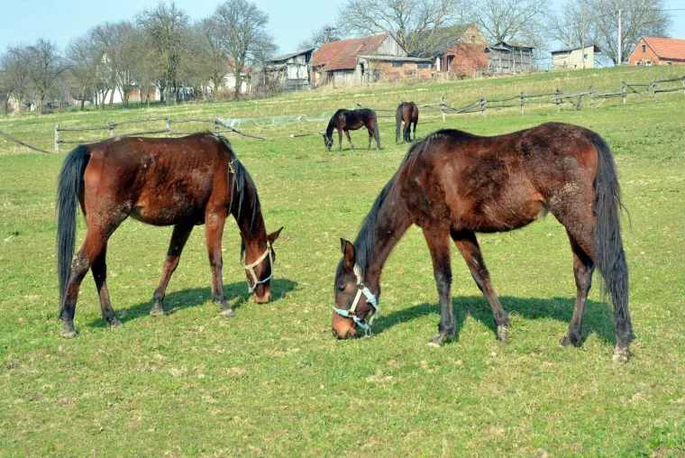 Razlika je nevjerojatna 22 stupnja! Ovo je 5 najhladnijih i 5 najtoplijih mjesta u Hrvatskoj danas