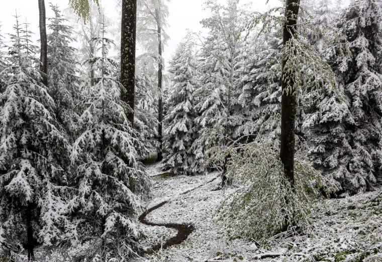 SNIJEG ZABIJELIO SLJEME I MEDVEDNICU: Nitko nije očekivao da ćemo ovako bajkovite prizore doživjeti u svibnju