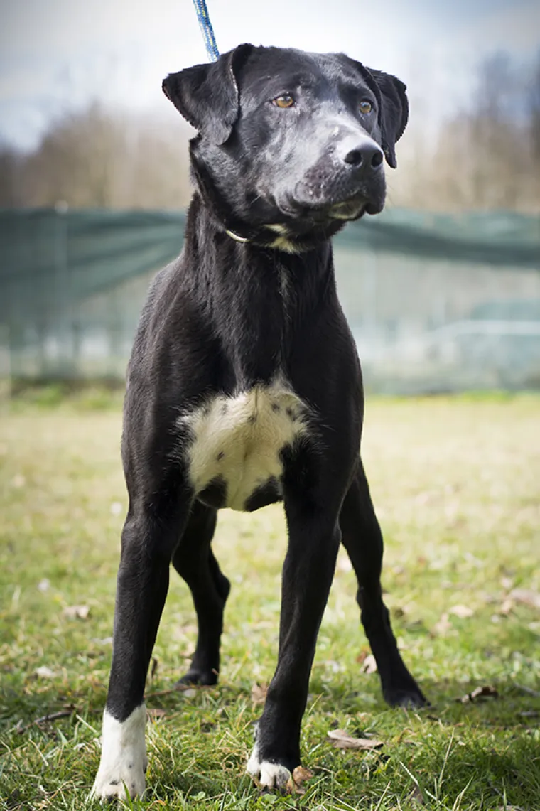 Ovo su najslađe nju&scaron;kice koje čekaju samo vas: 'Upoznajte ih, traže svoje ljude'