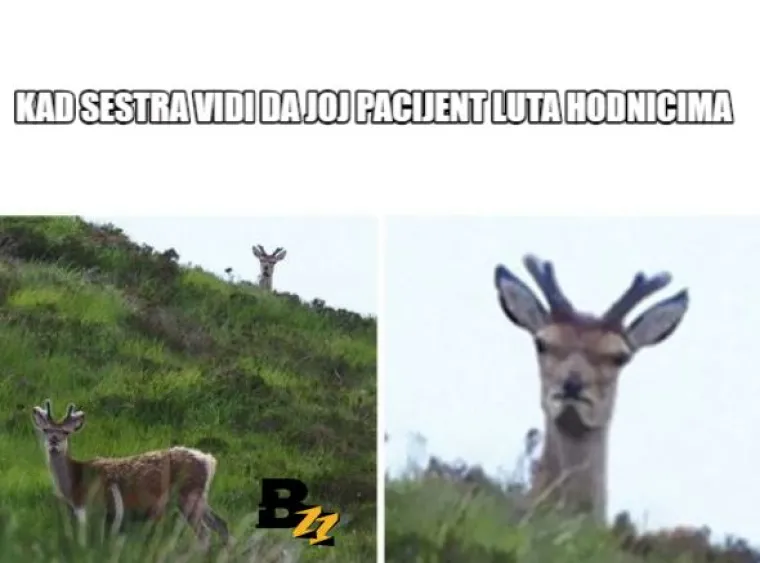 Medicinske sestre su često podcijenjene: Ovih 15 fotografija savr&scaron;eno opisuju njihov posao