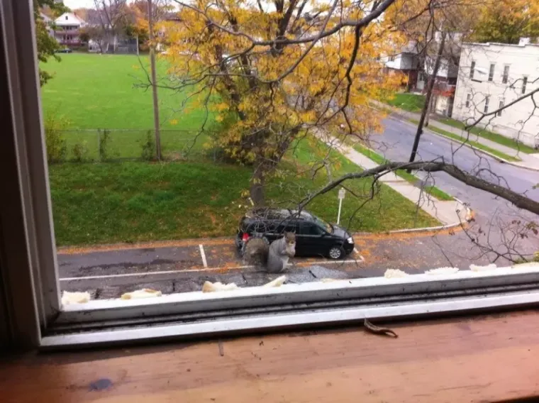 Urnebesne iluzije iz svakodnevnog života koje će vas natjerati da škiljite