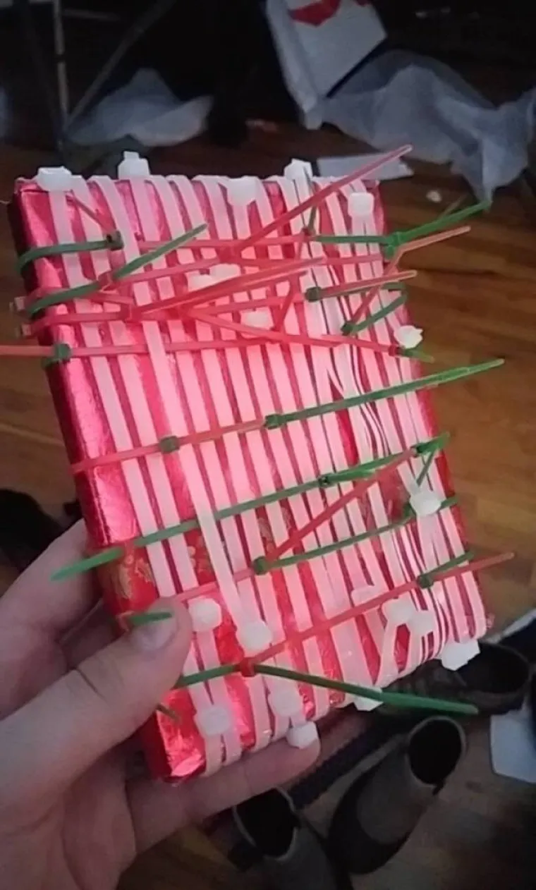 SAMO ONI S BRAĆOM I SESTRAMA MOGU SHVATITI TRAGIKOMEDIJU OVIH PRIZORA: Sva sreća da ljubav sve pra&scaron;ta...