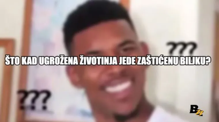 'Jesu li ribe ikada žedne?' i jo&scaron; 15 pitanja na koje nitko nema odgovor