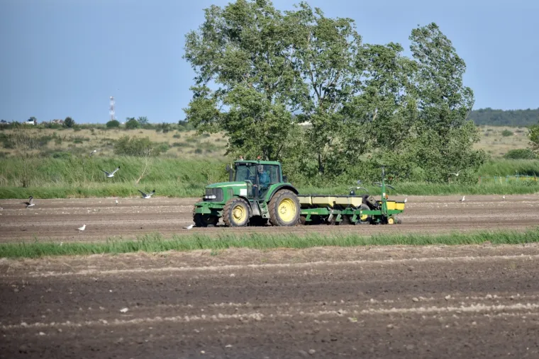 Evo &scaron;to zadarski poljoprivrednici rade čim svane sunčani dan bez oblaka