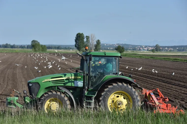 Evo &scaron;to zadarski poljoprivrednici rade čim svane sunčani dan bez oblaka