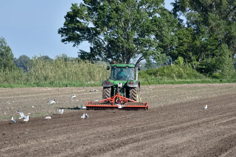 Evo &scaron;to zadarski poljoprivrednici rade čim svane sunčani dan bez oblaka