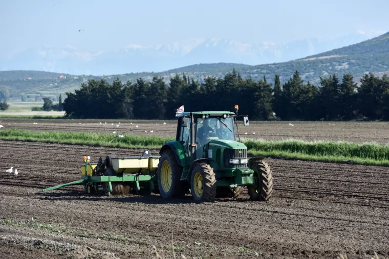 Evo &scaron;to zadarski poljoprivrednici rade čim svane sunčani dan bez oblaka