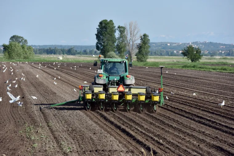 Evo &scaron;to zadarski poljoprivrednici rade čim svane sunčani dan bez oblaka