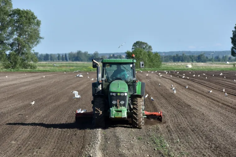 Evo &scaron;to zadarski poljoprivrednici rade čim svane sunčani dan bez oblaka