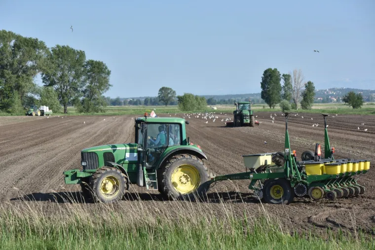 Evo &scaron;to zadarski poljoprivrednici rade čim svane sunčani dan bez oblaka
