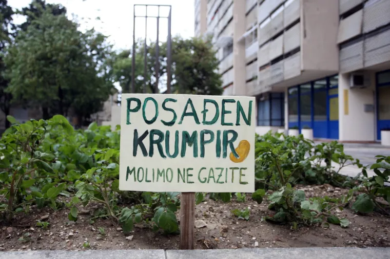 'Molimo ne gazite': Stanovnici ispred zgrade posadili - krumpire!