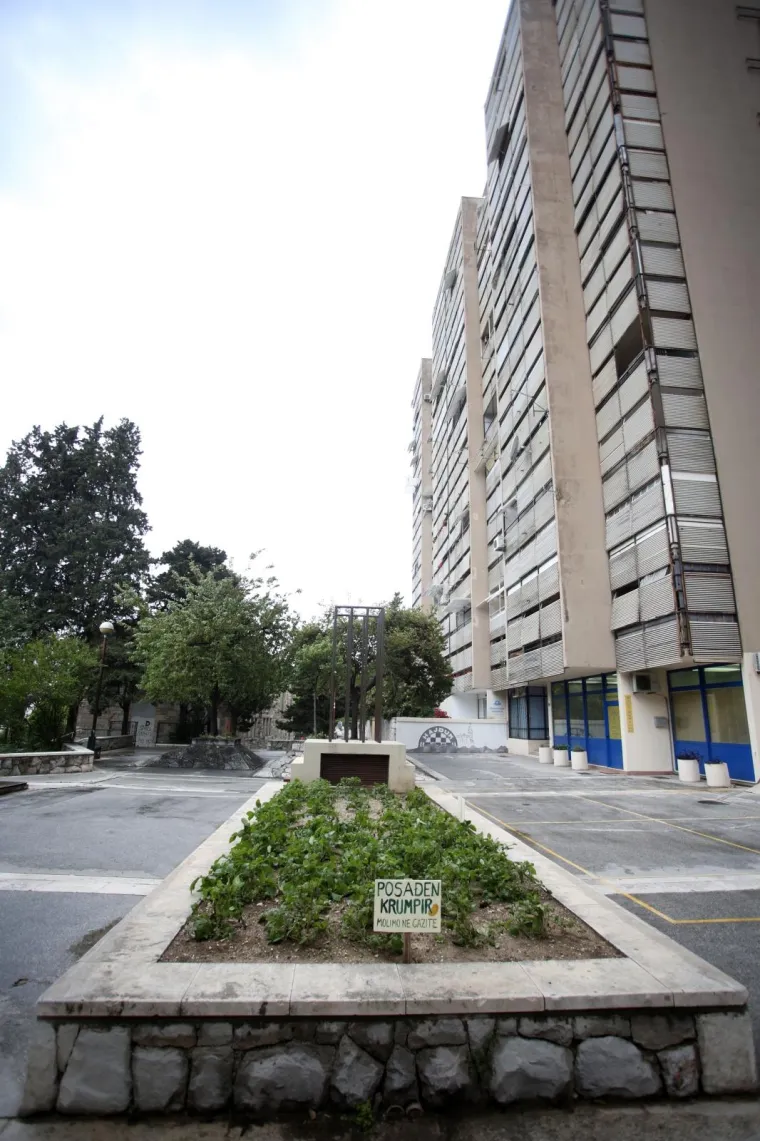 'Molimo ne gazite': Stanovnici ispred zgrade posadili - krumpire!