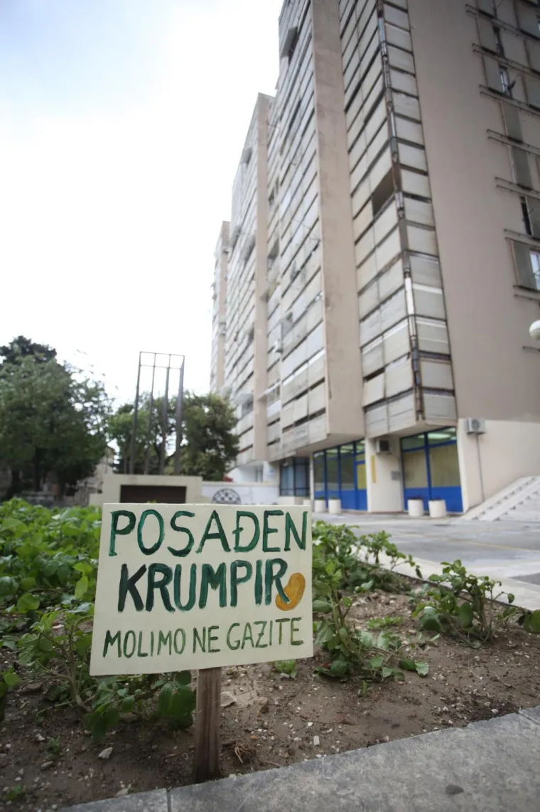 'Molimo ne gazite': Stanovnici ispred zgrade posadili - krumpire!