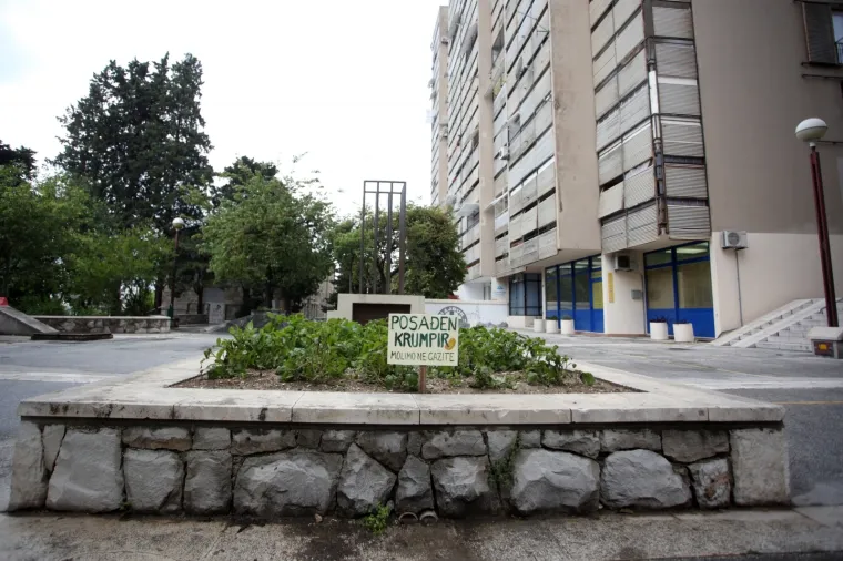 'Molimo ne gazite': Stanovnici ispred zgrade posadili - krumpire!