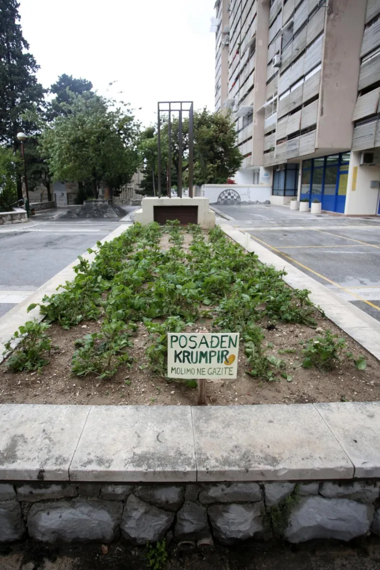 'Molimo ne gazite': Stanovnici ispred zgrade posadili - krumpire!