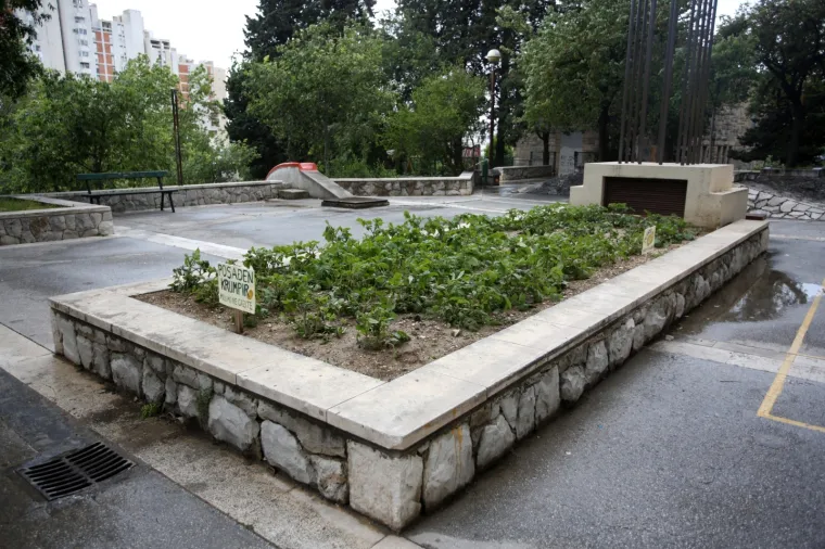 'Molimo ne gazite': Stanovnici ispred zgrade posadili - krumpire!