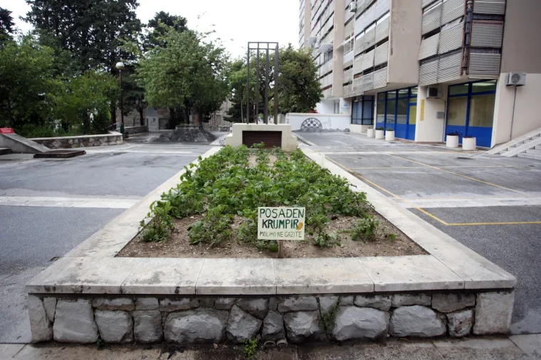 'Molimo ne gazite': Stanovnici ispred zgrade posadili - krumpire!