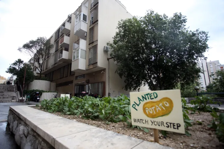 'Molimo ne gazite': Stanovnici ispred zgrade posadili - krumpire!