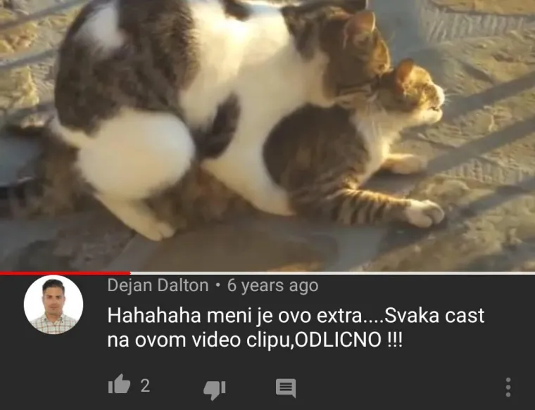 Slike koje dokazuju da Hrvatima treba zabraniti internet za vijeke vjekova