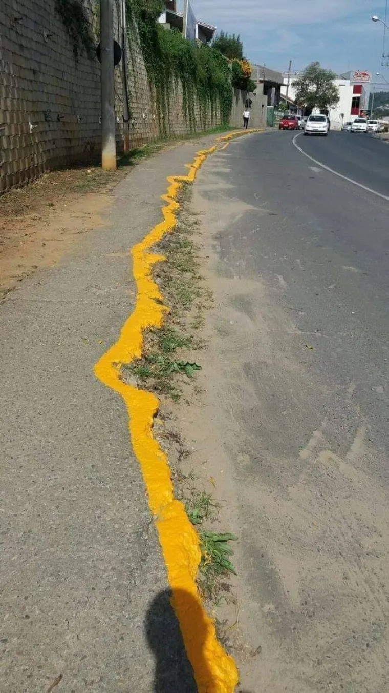 INTERNET OBILUJE BIZARNIM PRIZORIMA: Neke je teže objasniti čak i od zapo&scaron;ljavanja u Holdingu