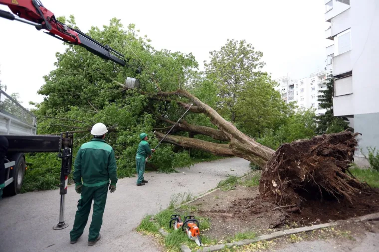Karlovac: Olujni vjetar i&scaron;čupao stablo