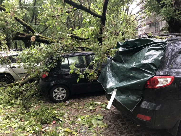 Olujni vjetar poharao Zagreb: Čupao drveće, prometne znakove, nosio krovove, ozlijeđeno dvoje ljudi
