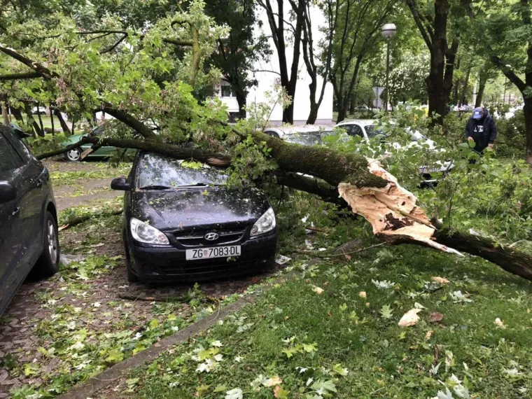 Olujni vjetar poharao Zagreb: Čupao drveće, prometne znakove, nosio krovove, ozlijeđeno dvoje ljudi