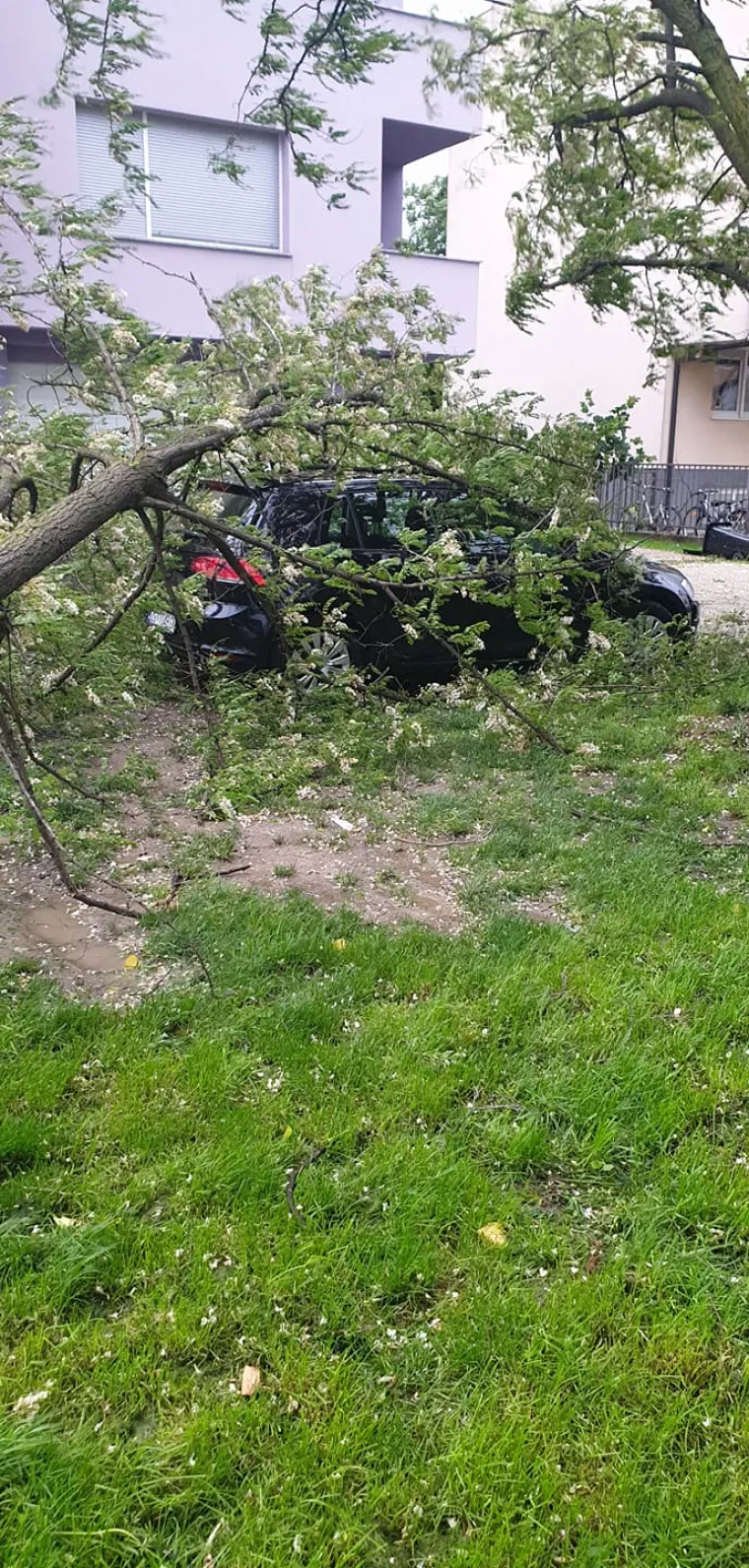 Olujni vjetar poharao Zagreb: Čupao drveće, prometne znakove, nosio krovove, ozlijeđeno dvoje ljudi