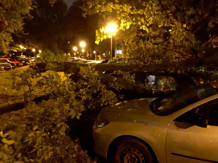 Olujni vjetar poharao Zagreb: Čupao drveće, prometne znakove, nosio krovove, ozlijeđeno dvoje ljudi