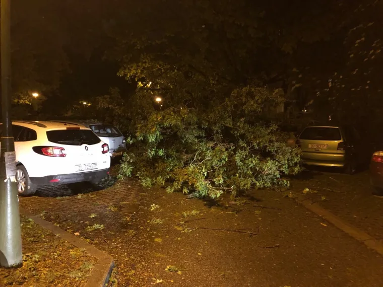 Olujni vjetar poharao Zagreb: Čupao drveće, prometne znakove, nosio krovove, ozlijeđeno dvoje ljudi
